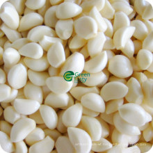 IQF Frozen Vegetables of Garlic Cloves